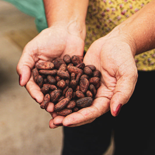 Bean-to-Bar Chocolate: The Process, the Flavor, and the Right Way to Taste It - Myzo Chocolate Inc.